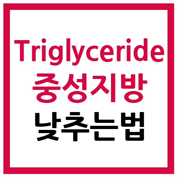 Triglyceride 뜻