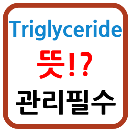 Triglyceride 뜻
