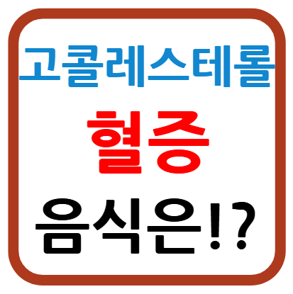 고콜레스테롤혈증 음식