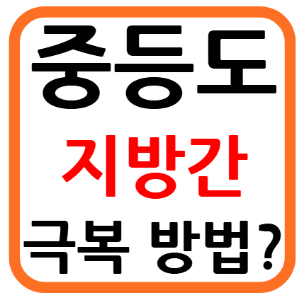 중등도 지방간