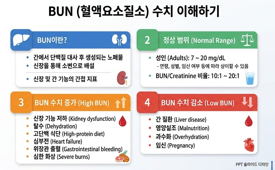 bun 수치
