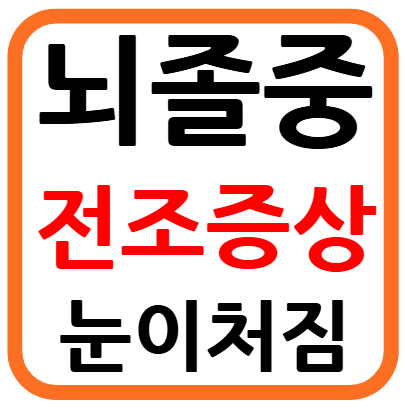 뇌졸중 전조증상 눈