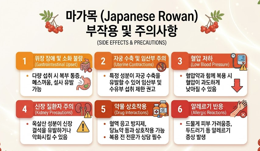 마가목 효능 부작용