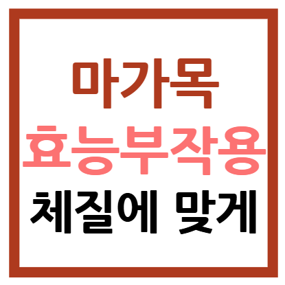 마가목 효능 부작용