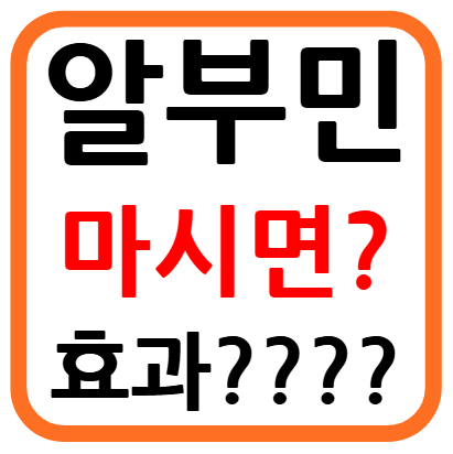 마시는 알부민