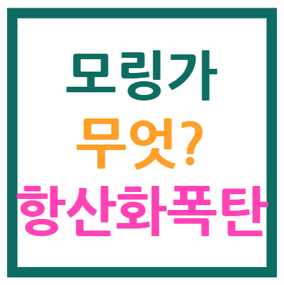 모링가 효능