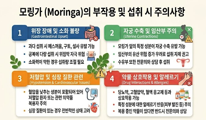 모링가 부작용