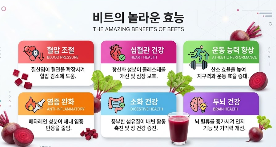 비트 효능