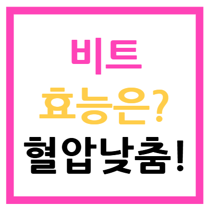비트 효능