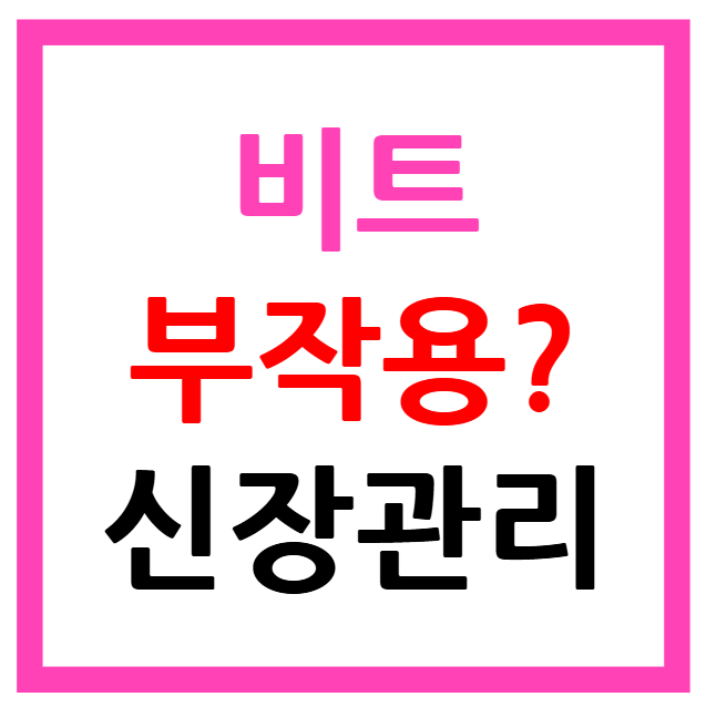 비트 효능 부작용