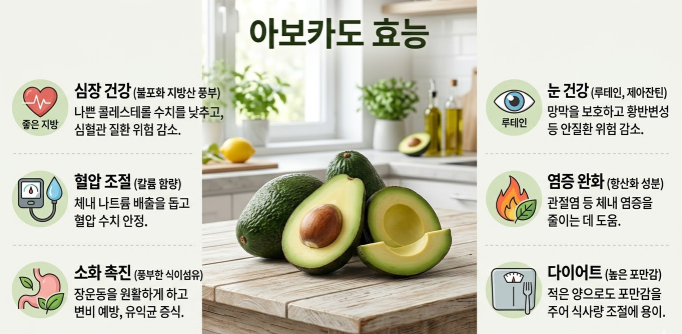 아보카도 효능
