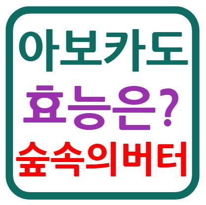 아보카도 효능