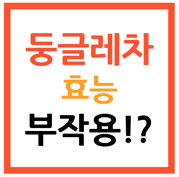 둥글레차 효능 및 부작용