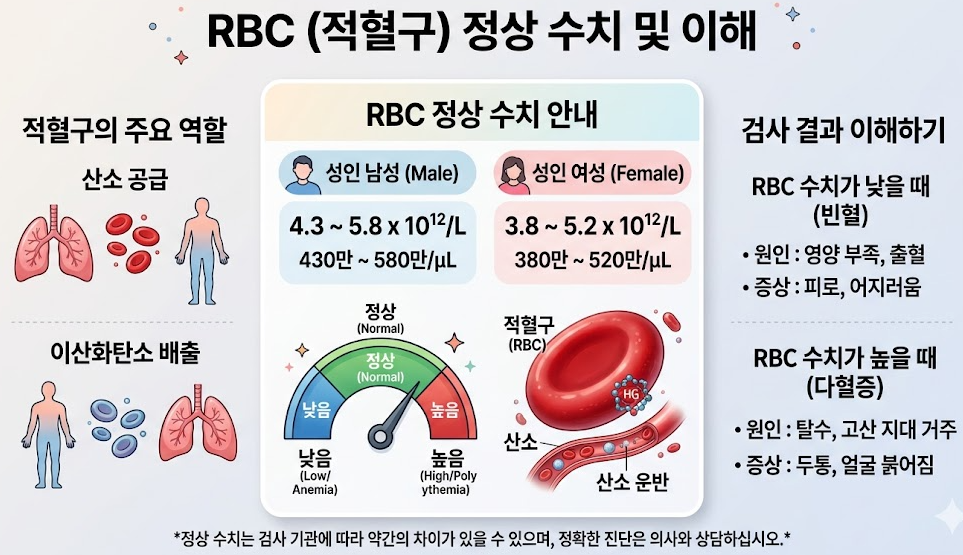rbc 정상수치