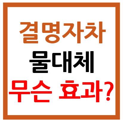 결명자차 물대체