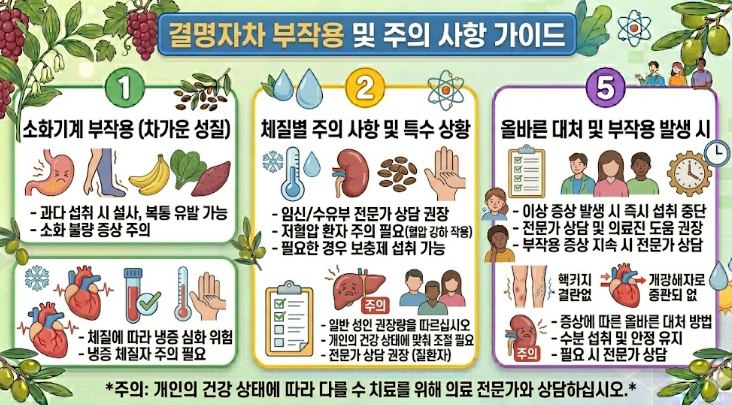 결명자차 부작용