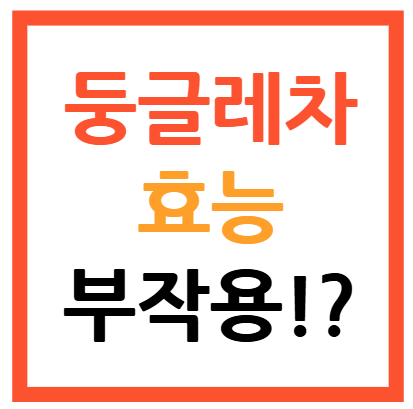 둥글레차 효능 및 부작용