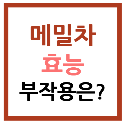 메밀차 효능 및 부작용