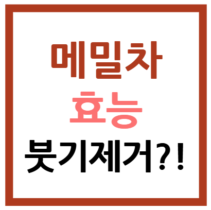 메밀차 효능 붓기