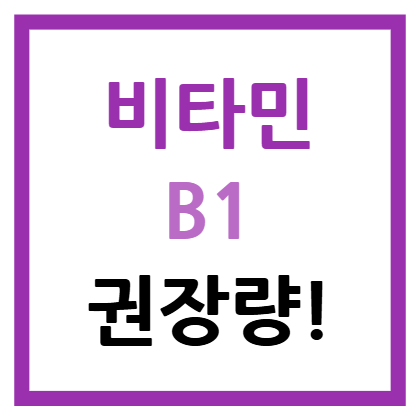 비타민B1 권장량