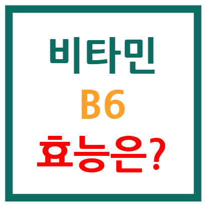 비타민b6 효능