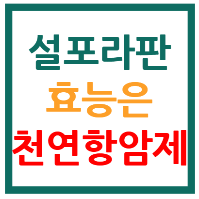 설포라판 효능
