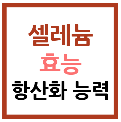 셀레늄 효능