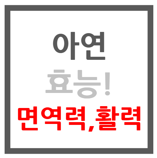 아연 효능