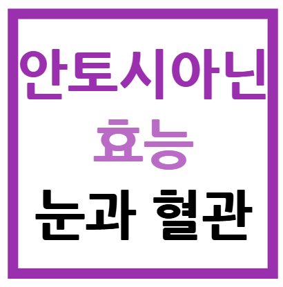 안토시아닌 효능
