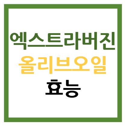 엑스트라버진 올리브오일 효능