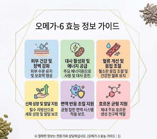 오메가6 음식 종류
