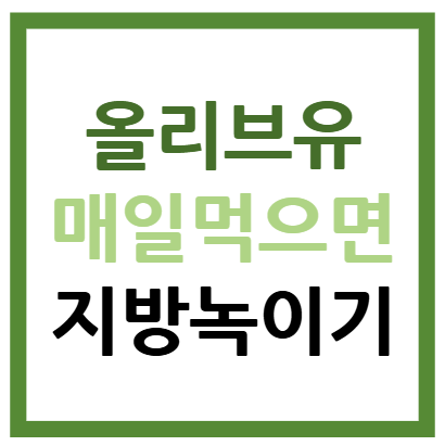 올리브유를 매일 먹으면