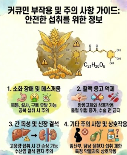 커큐민 부작용