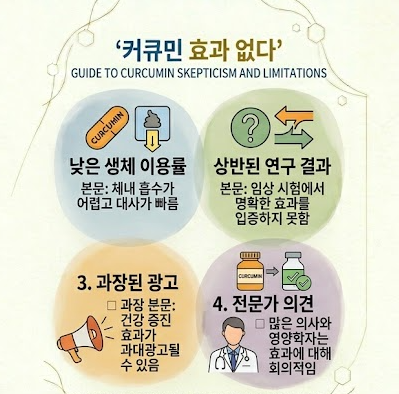 커큐민 효과 없다