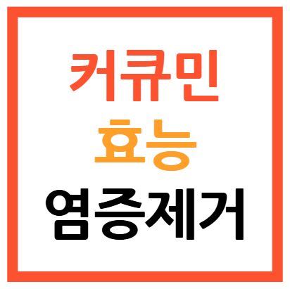 커큐민 효능