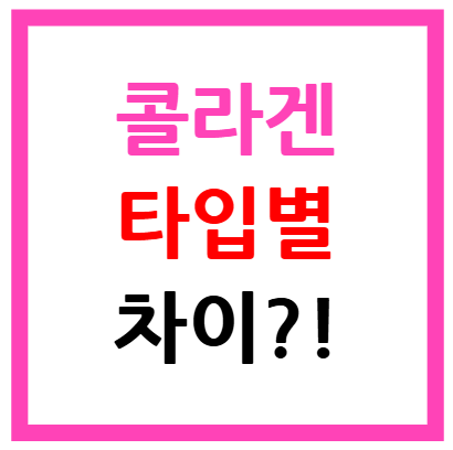 콜라겐 타입별 차이