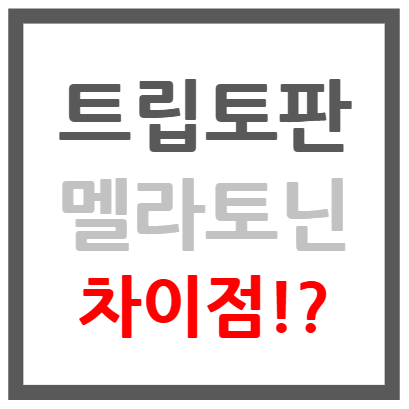 트립토판 멜라토닌 차이