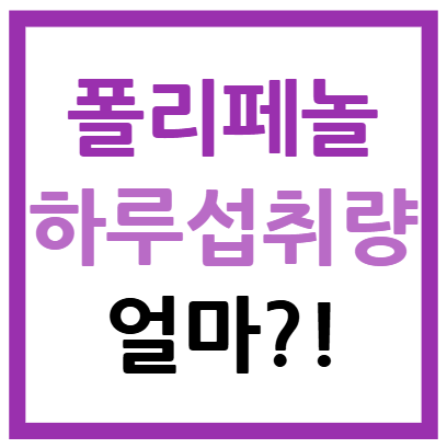 폴리페놀 하루섭취량