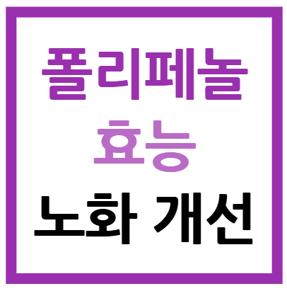 폴리페놀 효능
