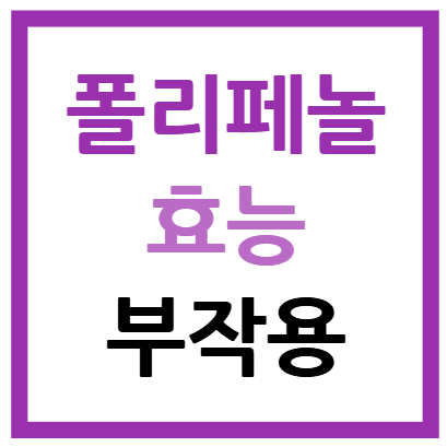 폴리페놀 효능 부작용
