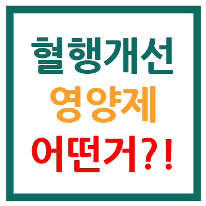 혈행개선 영양제