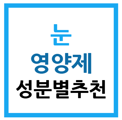눈 영양제 성분별 추천