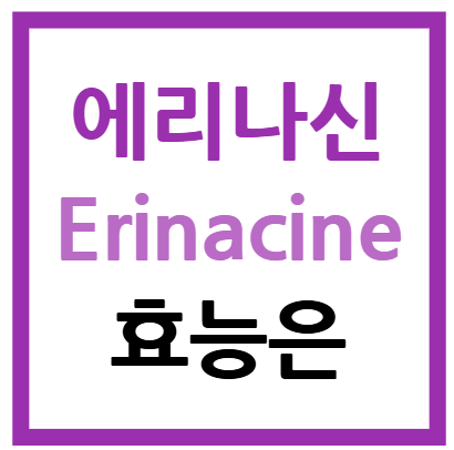 에리나신