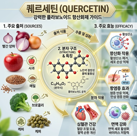 퀘르세틴