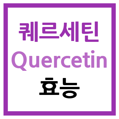 퀘르세틴