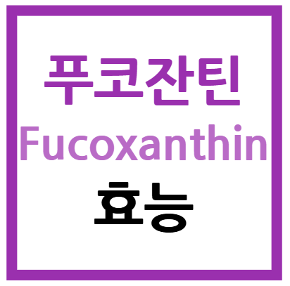 푸코잔틴