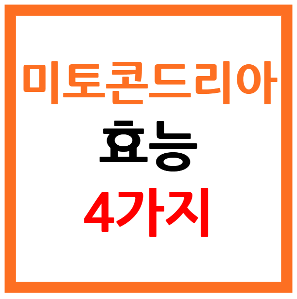 미토콘드리아 효능